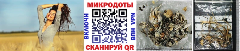 Галлюциногенные грибы Cubensis  Льгов 